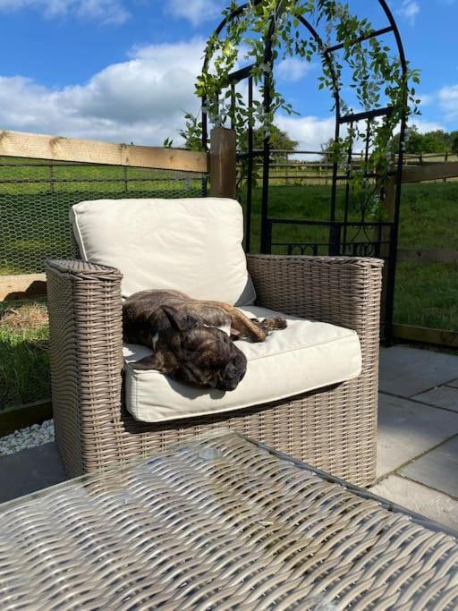 فيلا Luxury Detached Peak District Stone Barn - Dog Friendly Hazelwood المظهر الخارجي الصورة
