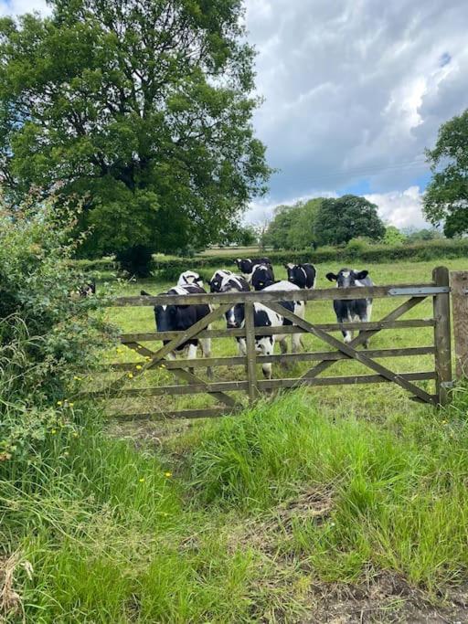 فيلا Luxury Detached Peak District Stone Barn - Dog Friendly Hazelwood المظهر الخارجي الصورة